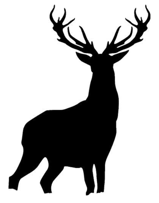 stag 2